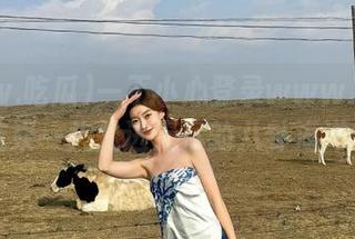 一不小心登录www.吃瓜网页，结果一头扎进无尽的八卦海洋中……