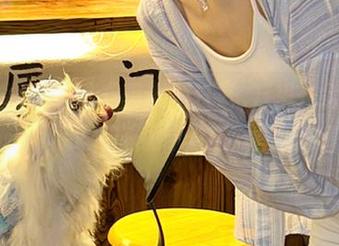 “黑料不打烊,万里长征”导航，让我们在八卦的海洋里畅游吧