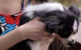 嘘，被万里长征黑料不打烊的最新网站的视频吸引住了，心甘情愿地沉沦。