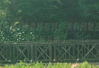 越看越有料，黑料网址在我心里已经升华了…